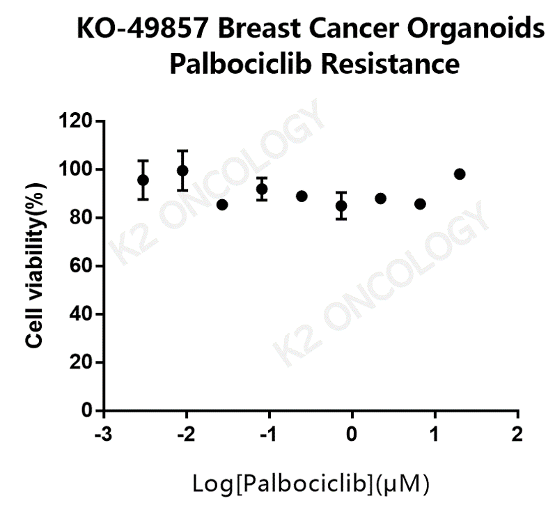 CDK4/6 抑制剂治疗后耐药的乳腺癌类器官模型KO-49857 Palbociclib药物敏感性检测数据